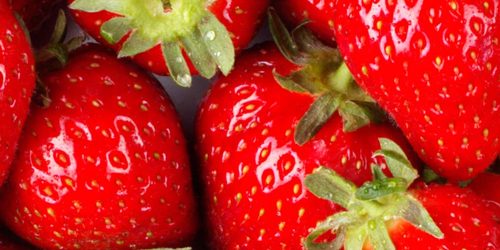 El consumo de arándanos y fresas reduce los daños cerebrales del envejecimiento